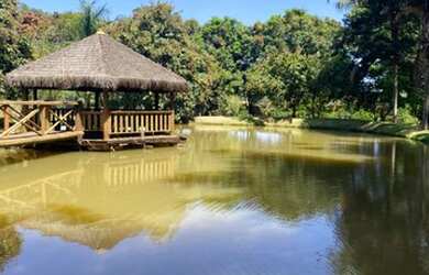 Imagem 2: Fazendinha com 3 lagoas em Mateus leme MG