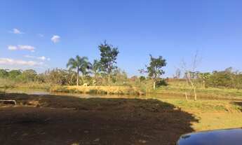 Imagem 4: Chácara de 24.200 m² entre o pedágio e Santa terezinha de itaipu