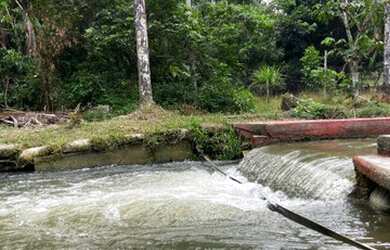 Imagem 2: Vendo 150 Mil Sítio na Am 010 Km 35 Ramal Água Branca 2(+9 km