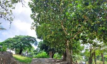 Imagem 7: Linda Chácara otima localização ( Willian Ricardo