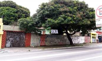 Imagem 1: Terreno à venda, Vila Nova Cachoeirinha - Ótima Oportubnidade