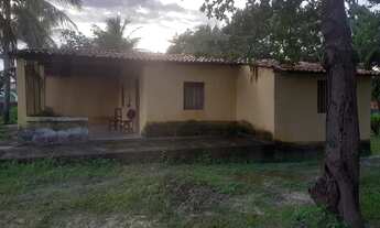 Imagem 3: Sítio com casa em Paraipaba /Camburão