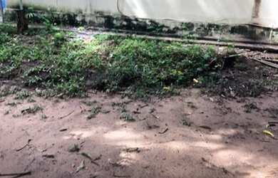 Imagem 2: Chácara em Rosário Oeste, Com 4 hectares, acesso ao rio Manso com tablado flutuante