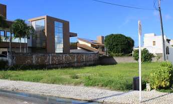 Imagem 5: Terreno Bosque das Orquideas