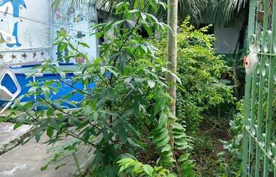 Imagem 2: Casa Casa com 2 dormitórios