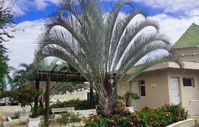 Imagem 4: Apartamento para Venda em Indaiatuba, Jardim Nova Indaiá, 3 dormitórios, 1 banheiro, 1 vag