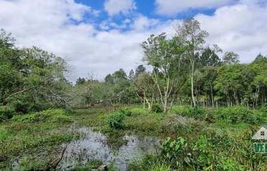 Imagem 4: Belo sítio com açude e arborizado, com frutíferas em Águas claras, confira!