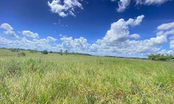 Imagem 2: Fazenda em Tabuleiro de Vitória, 400 tarefas de terra a 110km de Salvador
