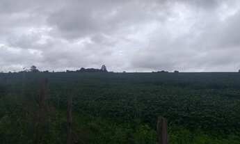Imagem 2: 0portunidade: vendo excelente fazenda com 74 hectares, TERRA PARA PLANTIO DE SOJA