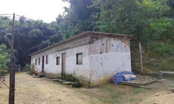 Imagem 2: Sítio 10 Alqueires Produção Pupunha, Topografia Montanhosa (Willian Ricardo