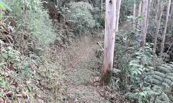 Imagem 7: Lote/Terreno para venda tem 24200 metros quadrados