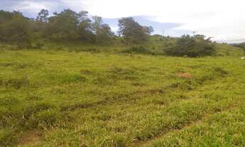 Imagem 4: Chácara de 2 alqueires em Pirenópolis - GO