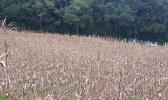 Imagem: Excelente Chacara sem benfeitorias com 9.500