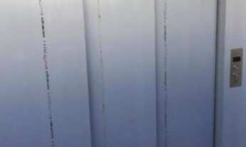 Imagem 6: Galpão para Locação em São Paulo, Santana