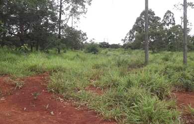 Imagem 5: Linda fazendinha de 135.000 m², Jaboticatubas (Temos várias opções)