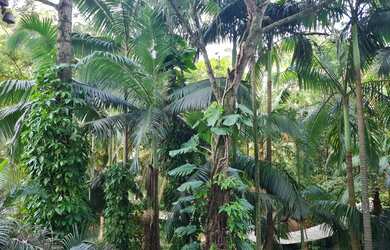 Imagem 4: Apartamento com 140 m², 4 quartos 1 suíte e 2 vagas