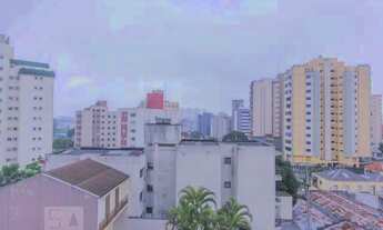 Imagem 7: Apartamento para Aluguel - Nova Petrópolis, 3 Quartos, 303 m2