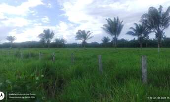 Imagem 7: 100 Hectares fazendinha pronta