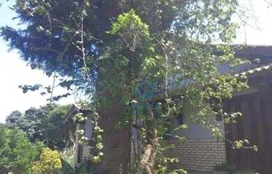 Imagem 7: Casa com 3 dormitórios para alugar, 277 m² por R$ 4.850,00/mês - Vila Nova - Novo Hamburgo