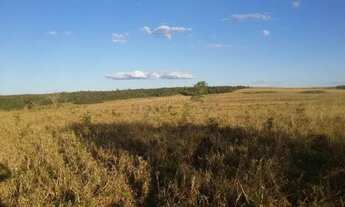 Imagem 2: Venda de Rural / Fazenda na cidade de Nova Ubiratã