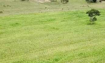 Imagem: Rianápolis - Casa Padrão - lt br gt