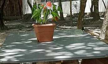 Imagem 3: Chácara em Pirenopolis p/ Temporada. 