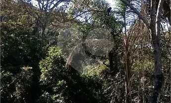 Imagem 4: Terreno Residencial Venda - 1070 m², excelente localização - Serra da Cantareira - Mairipo