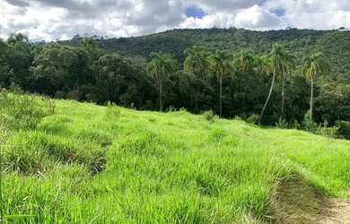 Imagem 2: Terreno Com Ótima topografia