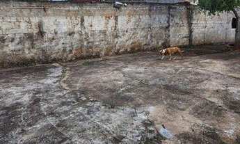 Imagem 5: Oportunidade Casa com 2 dormitórios para alugar, 70 m² por R$ 900/mês - Igapó - Londrina/P