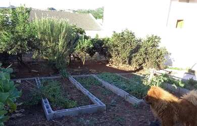 Imagem 2: Casa Casa com 3 dormitórios