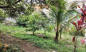 Imagem 6: São Paulo - Terreno Padrão - TUCURUVI