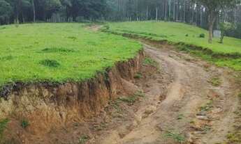 Imagem 2: Sítio espetacular,22 Hectares, plano, com rio, pasto, nascente! Grande Oportunidade!