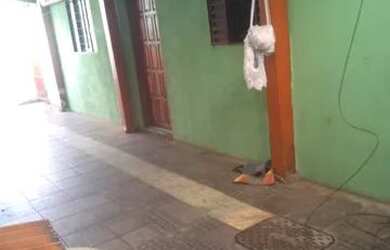 Imagem 7: Vendo casa em ceilândia QNO 19..