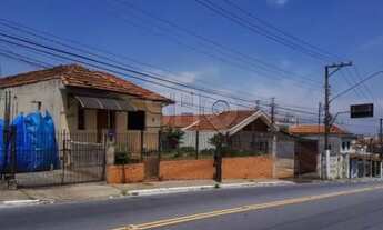 Imagem 3: Terreno, Vila Guilherme - São Paulo
