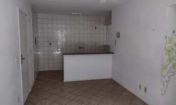 Imagem 5: Ótimo apartamento com 3 quartos na vargem do bom jesus em florianópolis