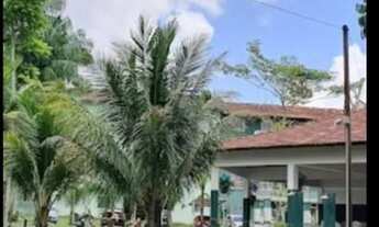 Imagem 1: Alugo Safira Park 2/4Tenoné - Belém - PA