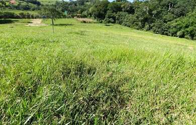 Imagem 3: LP - Vendo terreno com ótima vista