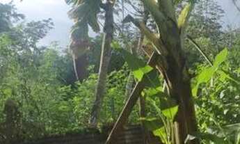 Imagem 2: Vendo Rancho em Santa Cruz da Esperança