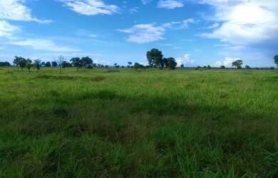 Imagem 2: Fazenda 264 há , 35 km de Cuiabá - mt