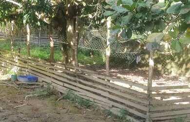 Imagem 7: Sitio pra vender