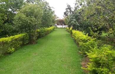 Imagem 5: Fazenda/Sítio/Chácara para venda tem 300 metros quadrados com 3 quartos