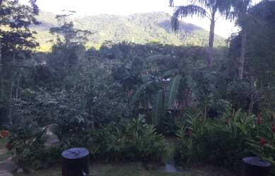 Imagem 4: Leia a descrição