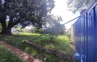 Imagem 4: Locação de Casas / Padrão na cidade de Araraquara