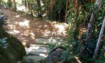 Imagem 4: Chácara com 3 dormitórios à venda, 15000 m² no bairro Galera - Canelinha/SC