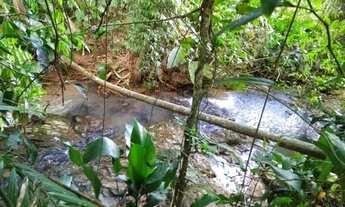 Imagem 5: Sítio em Indaial - 49.846,11 m² - Oportunidade - Barbada