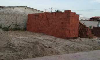 Imagem: Tijolo da regiaooo