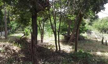 Imagem 7: Fazendinha 40 mil metros, riacho nos fundos, bala vista, Jaboticatubas