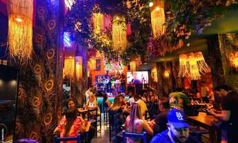 Imagem 5: Pub e Bar em Balneário Camboriú