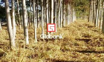 Imagem 7: Fazenda/Sítio/Chácara em Ribeirão Preto, no bairro Todos os Santos, à venda