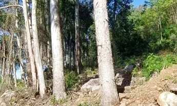 Imagem 2: Área de terra bairro Linha Imperial, Nova Petrópolis. RS REF: 437